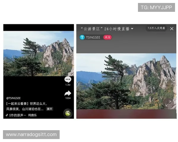 开云体育直播平台的移动端观看体验提升方案满足用户随时随地观看需求