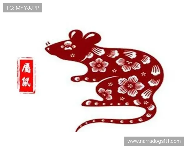 开运数字站：选择开运数字提升财运健康与人际关系