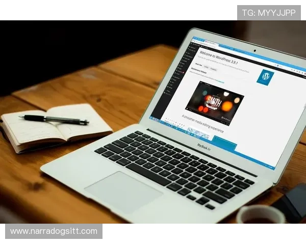 专业开云网站设计方案推荐提升用户体验与转化率的实用技巧详解