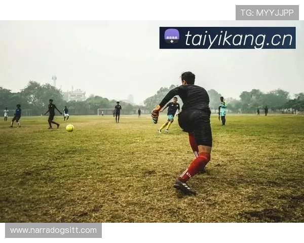 开云体育正规网址查询指南，帮助玩家快速找到官方认证的安全登录平台