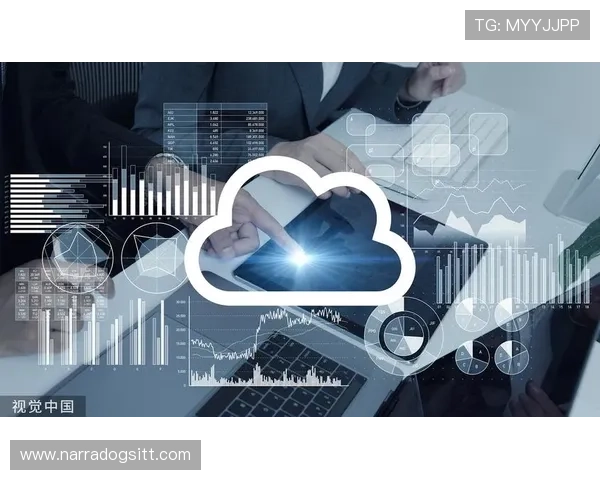 开云平台的成本控制与投资回报分析，为游戏企业提供决策参考