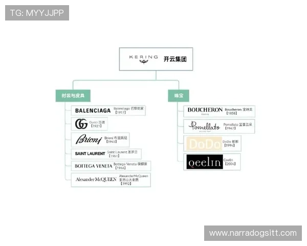 开云集团旗下品牌一览表：全面介绍各大奢侈品牌的详细信息与发展历程