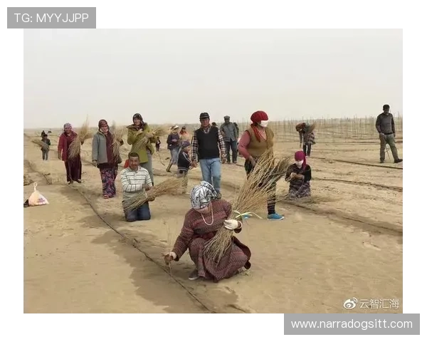 探索开云真人故事中的感人瞬间：玩家如何实现梦想与突破