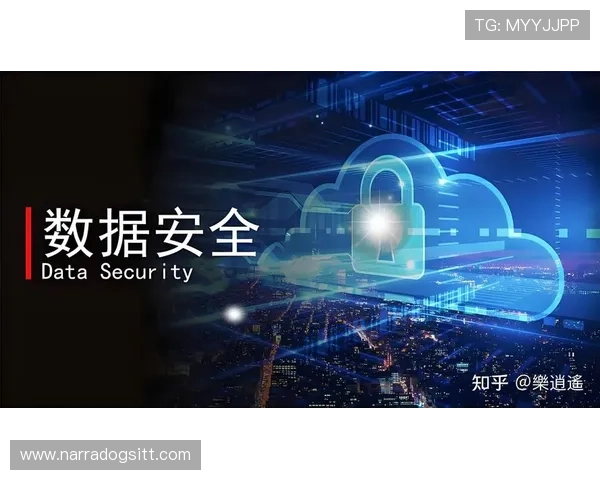 kaiyun体育官方网页入口安全登录指南确保用户账户信息安全与隐私保护措施